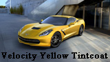 VELICUTY YELLOW TINTCOAT