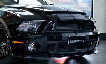 Center racing stripe �C���[�W�P