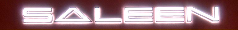 SALEEN